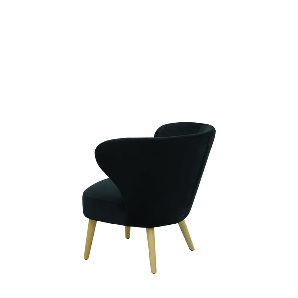 Sessel aus Samt oder Leder ✔ Modell CAPRICE