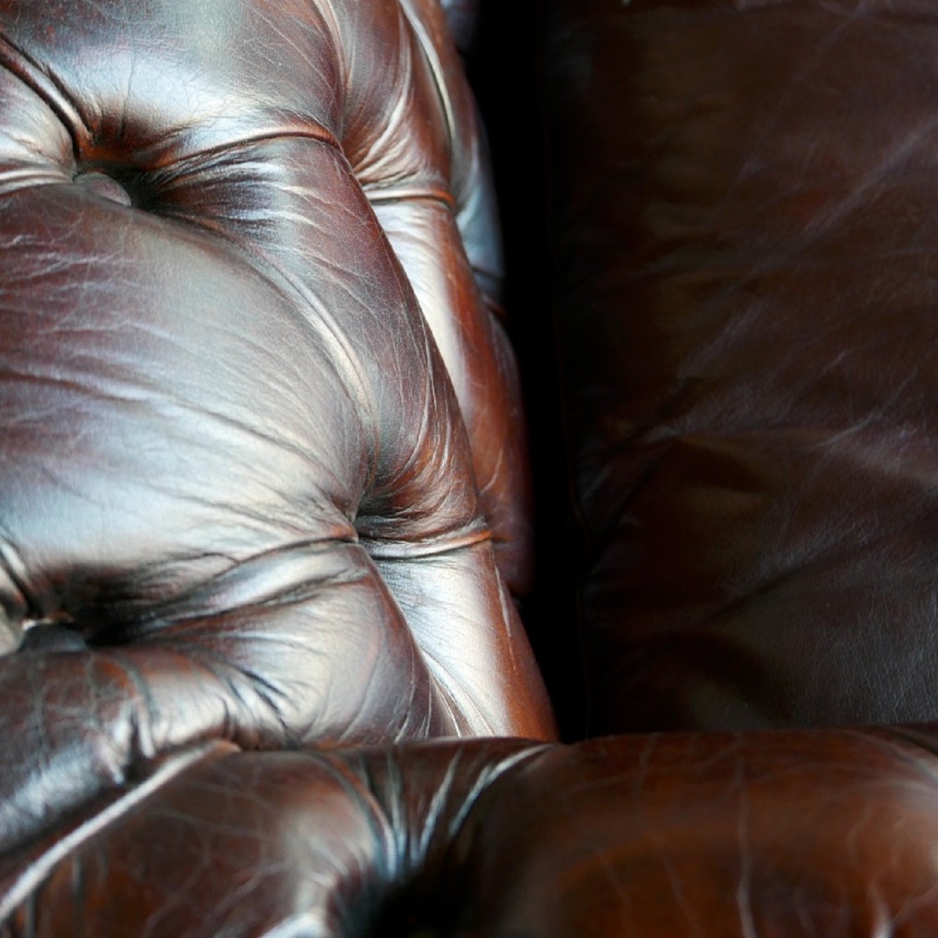 Chesterfield Büffelleder Sofa, 2-Sitzer mit Kissen und Knopf | Modell KNOPF