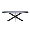 Ovaler Esstisch aus massiver Eiche mit filigranen Stahlfüßen |  Modell MIKADO SLIM B